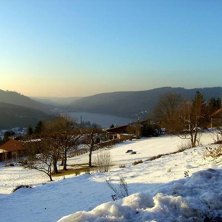 Gerardmer Centre - Studio Au Pied Du Lac Grande Terrasse Екстериор снимка