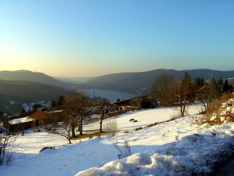 Gerardmer Centre - Studio Au Pied Du Lac Grande Terrasse Екстериор снимка